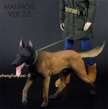 Mr.Z 1:6 MALINOIS cane 2.0