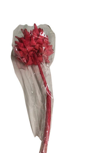Carciofi grossi d12 - grossi, con