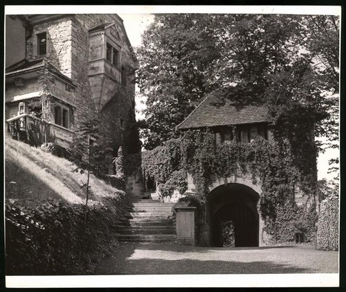 Fotografia bechstein - r.,
