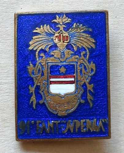 Distintivo reggimento - distintivo, 91