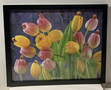 Ann Geddes, poster originale