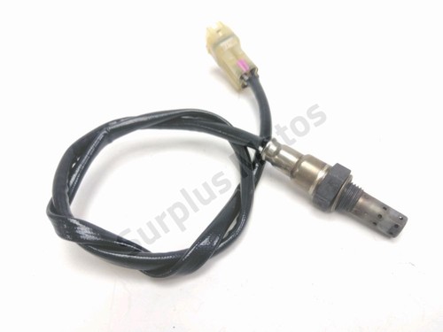 Sonde lambda honda cbr 1100 - cbr, xx