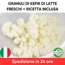Granuli di Kefir di Latte – Kit Starter con Ricetta Inclusa (10g)