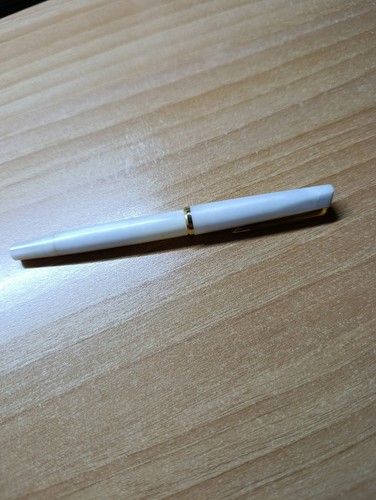 Penna stilografica vintage - penna,