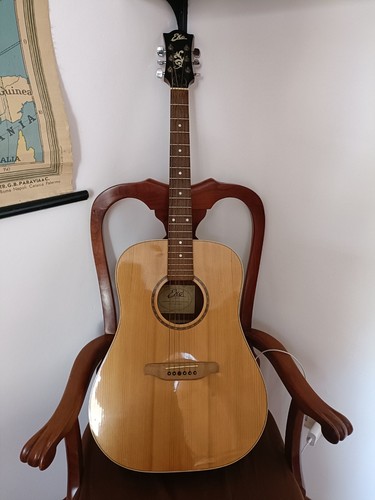 Acoustic guitar eko chitarra - guitar,