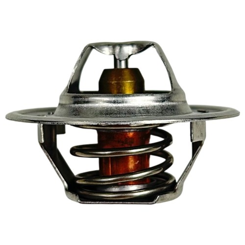 Termostato per motore trattore