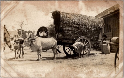 Rppc bullock carrello carrelli - rppc,