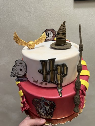 Torta scenografica harry - torta,