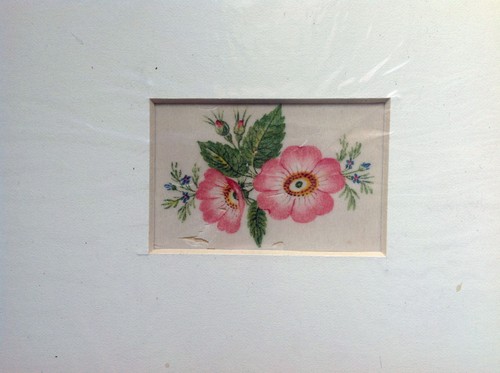 Fiori rosa acquarello a - ,
