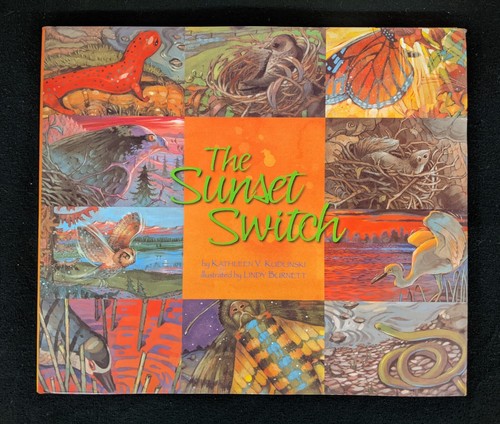 The sunset switch - by, kathleen