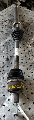 36001875 semialbero ant - 36001875,