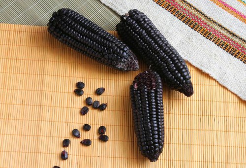Semi mais nero o - mais,