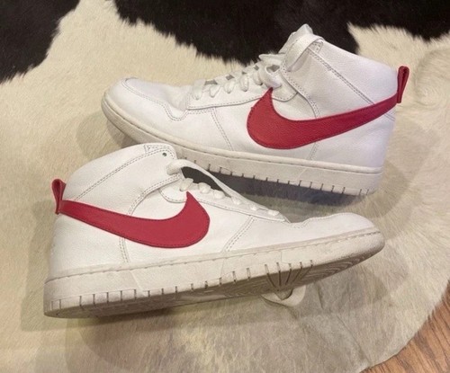 Riccardo tisci nikelab dunk - tisci, x