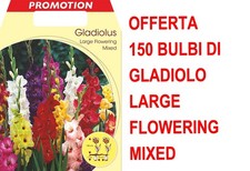 OFFERTA 150 BULBI PRIMAVERILI