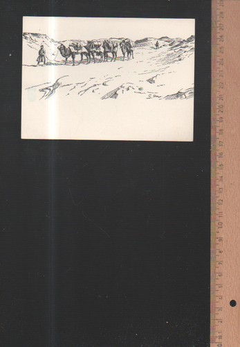 Cartolina sven hedin - (k11190),