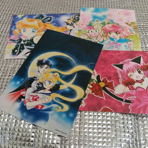 Scheda avvertimento sailor - di,