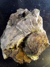 Legno Fossile Pietrificato ,legno Silicizzato Con Ossido Di Rame ,Opale Xiloide.