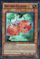 CARTA YU-GI-HO STBL NATURIA