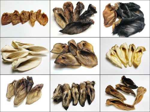 Drieddogtreats orecchie - drieddogtreats, di