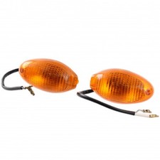 Coppia frecce anteriori Ducati Monster