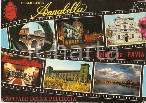 1975 pavia pellicceria - ca,