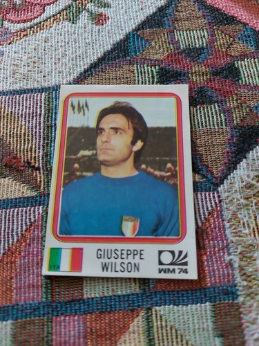 Figurina panini nuova mondiali - figurina,