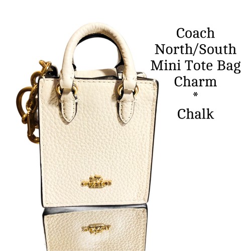 Coach north south - south, borsa