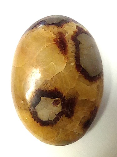 Septaria big pietra qualità