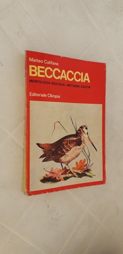 Matteo califano beccaccia - -,