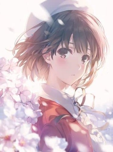 Saekano flat art - saekano,