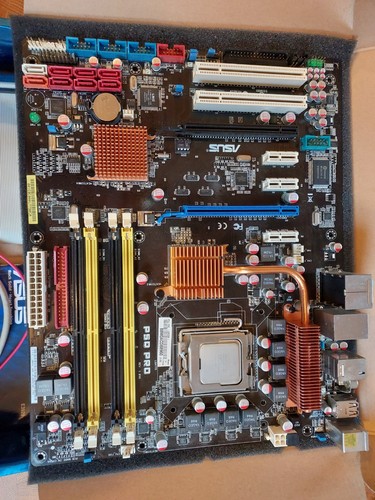 Asus p5q pro scheda madre - asus,