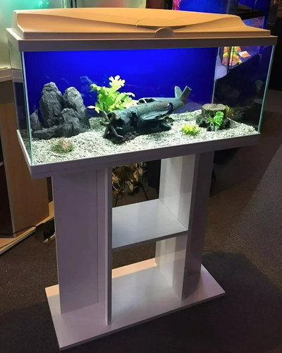 Nuovo fish tank acquario - *nuovo*,