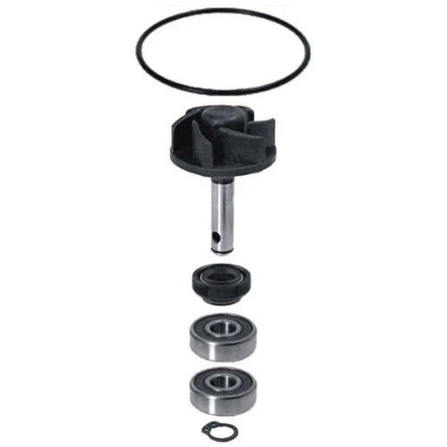 Kit revisione pompa acqua - revisione,