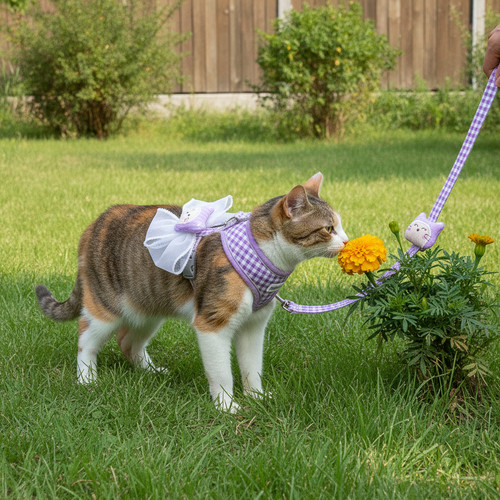 Pettorina gatto regolabile con - gatto,