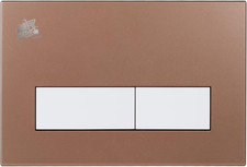 Toilet control plate