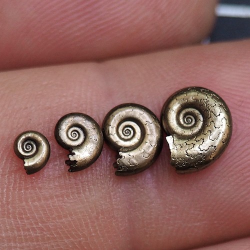 Ammonite pirite miniatura - , 4