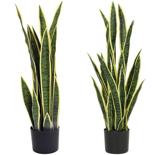 Outsunny sanseveria finta - outsunny, in