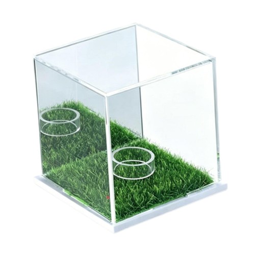 Vetrina per baseball - , in