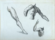 CIARDI GUGLIELMO (Venezia