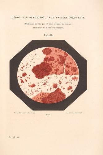 19th century wine analysis - century,
