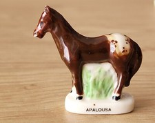 Fava - Cavallo Appaloosa 