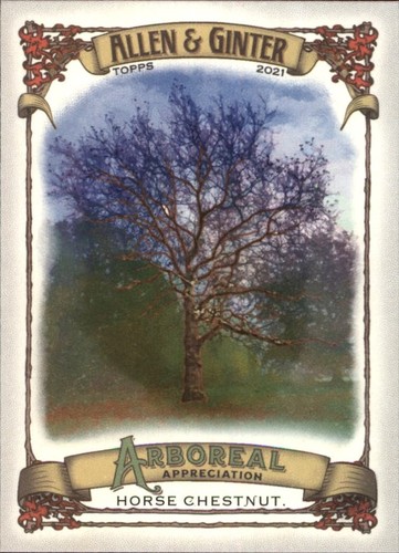 2021 topps allen ginter - topps,