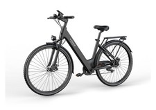 ebike bicicletta elettrica