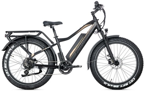 Bike bici elettrica - bici, fat