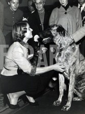 Foto vintage Animali, un cane