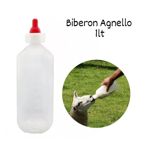Biberon bottiglia per