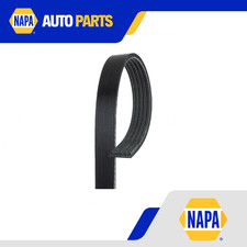 Cinghia trasmissione 5 costole