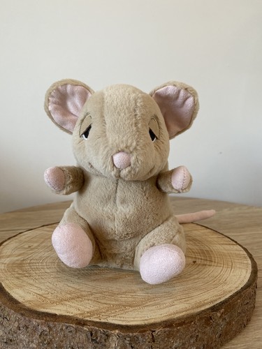 Ghiro darcy dormouse - ghiro,