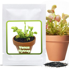 Trappola per mosche di Venere