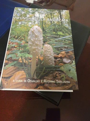 Funghi della basilicata - basilicata, di